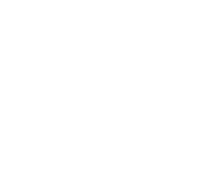FourFourJunkie logo